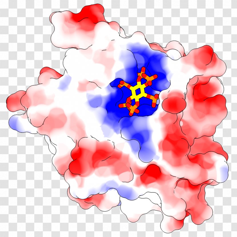 UCSF Chimera Electrostatics Protein Folding Electric Potential Ramachandran Plot - Atom - Meng Transparent PNG