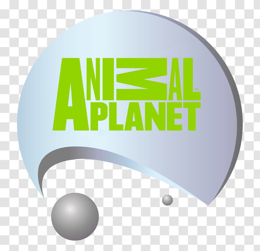 Logo Brand Schoolagenda Font - Green - Animal Planet Transparent PNG