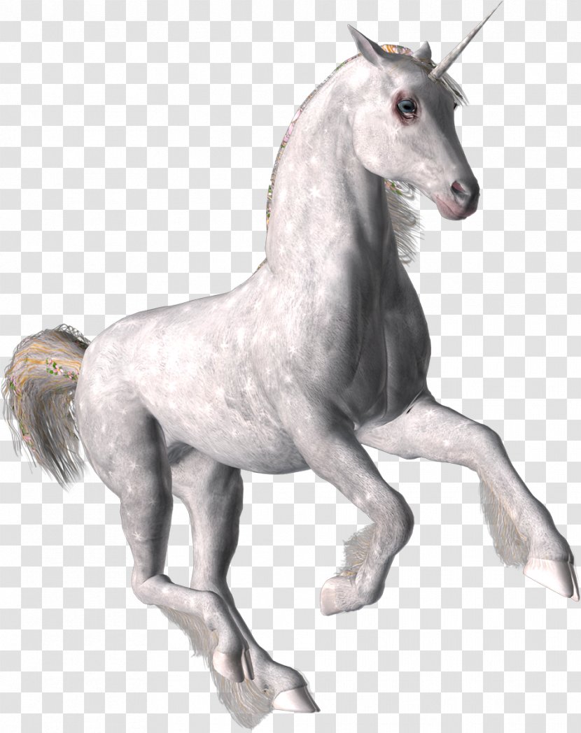 Mustang Stallion Pony Unicorn White Horse - Animal Transparent PNG