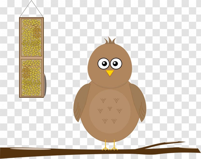 Owl Bird Cartoon Illustration - Royaltyfree - The On Branches Transparent PNG