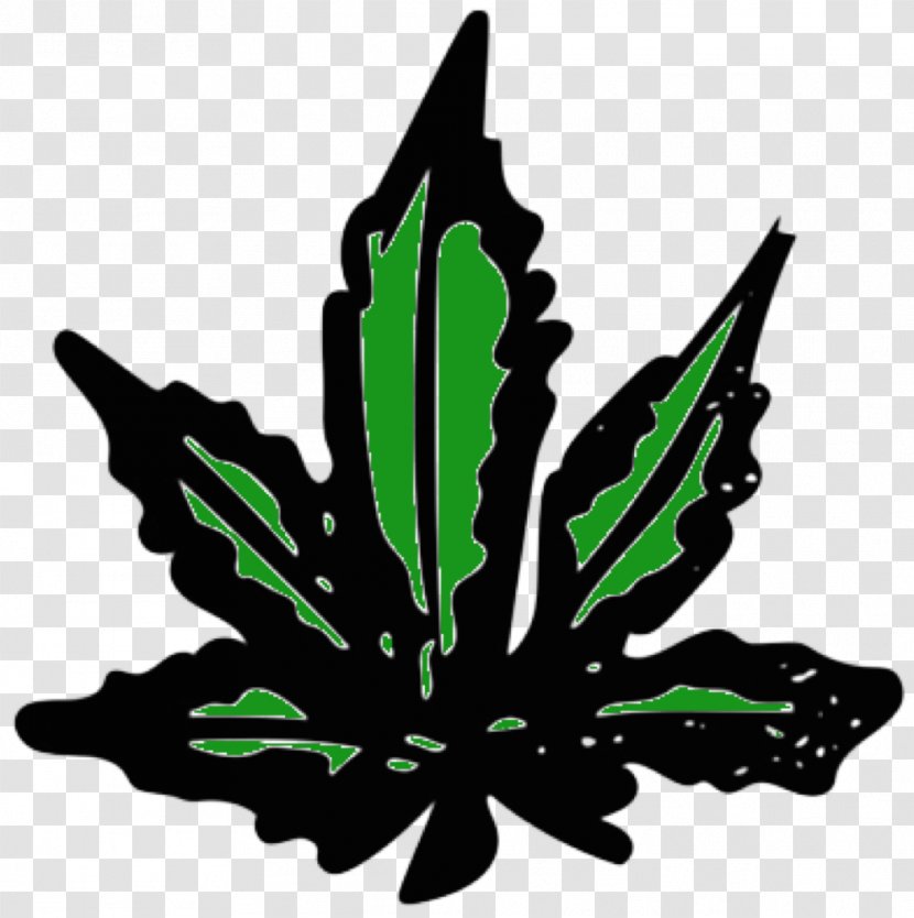 Cannabis Drug Test Head Shop Formula Bong - Flowering Plant - Weed Transparent PNG