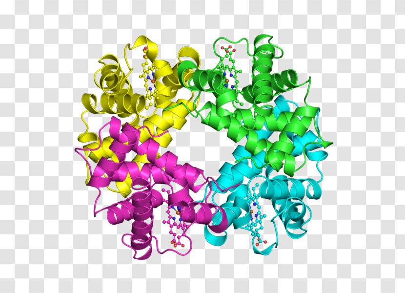 Protein Quaternary Structure Hemoglobin Primary - Art - Sangre Transparent PNG