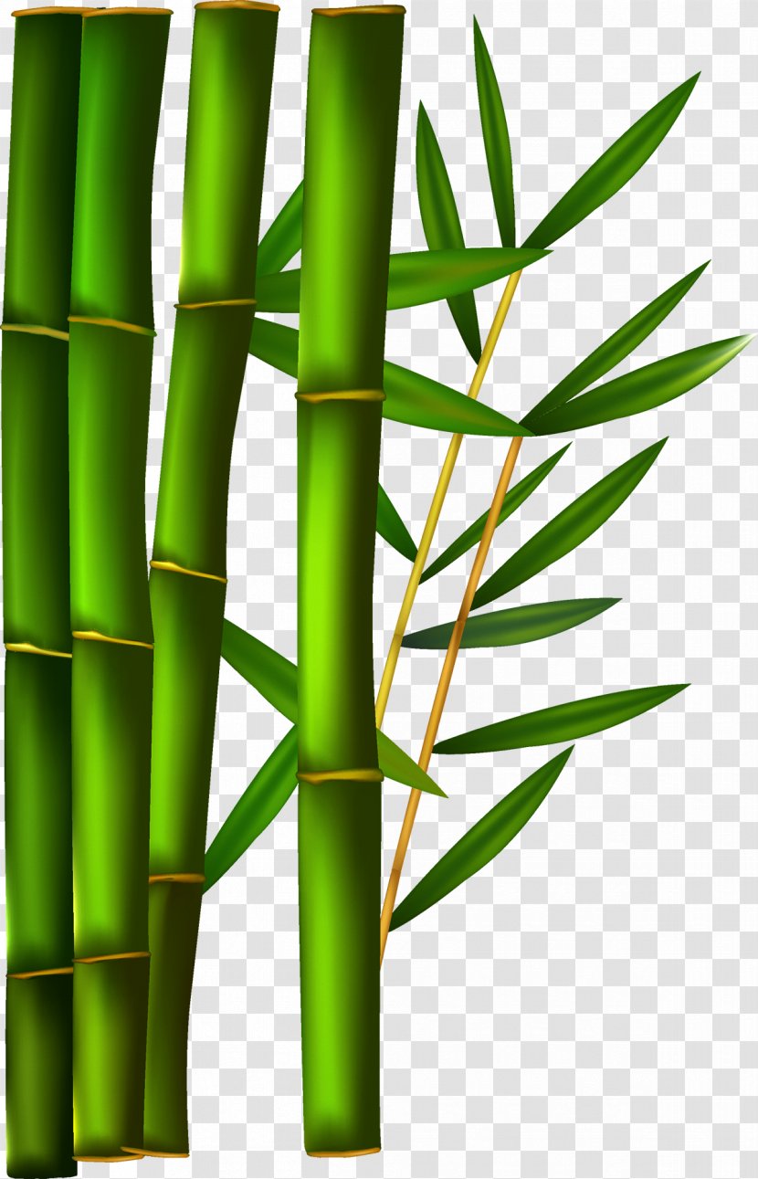 Paper Bamboo Clip Art - Grass - Green Transparent PNG