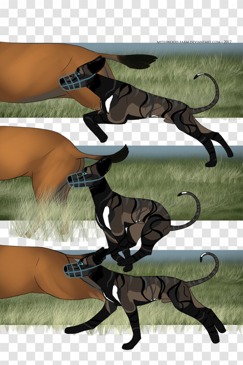 Horse Leash Mammal Animal Transparent PNG