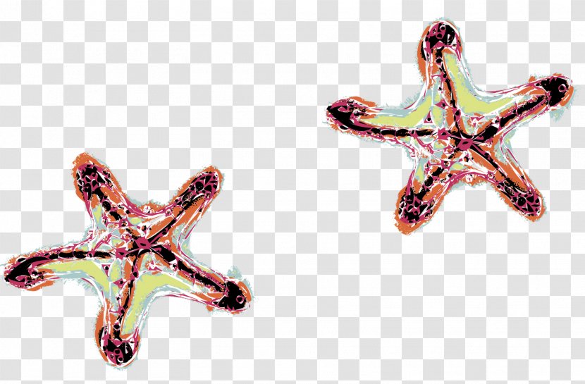 Starfish Body Jewellery - Organism - Posters Material Transparent PNG