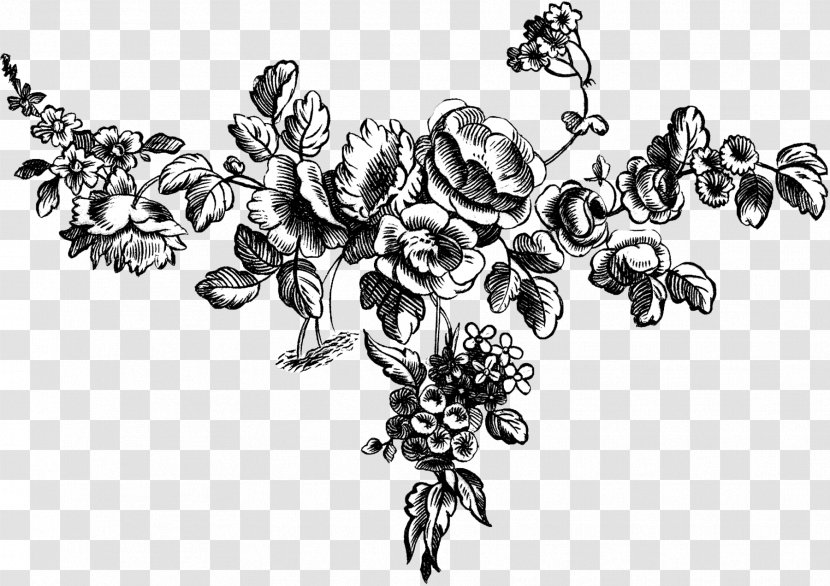Engraving Vintage Clothing Wedding Invitation Flower Clip Art - Rose - Antique Transparent PNG