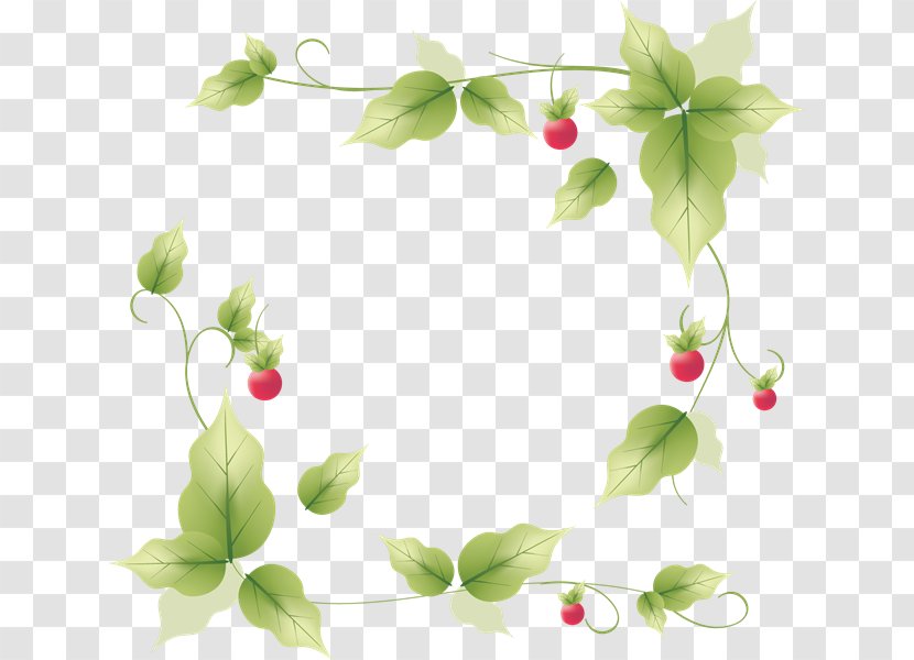 Picture Frames Houseplant Petal Clip Art - Leaf - Plant Transparent PNG