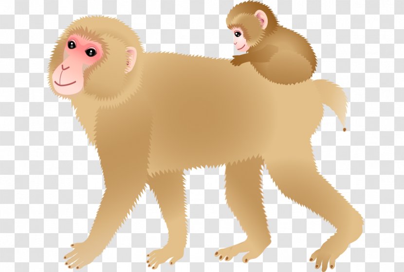 Lion Cercopithecidae Old World Cat Illustration - Big - Monkey Transparent PNG