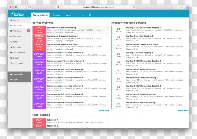 Icinga Network Monitoring Computer Software Nagios Program - Web Page - Icing Transparent PNG