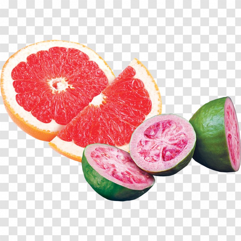 Ice Cream Grapefruit Sorbet Pomelo Common Guava - Lime Transparent PNG