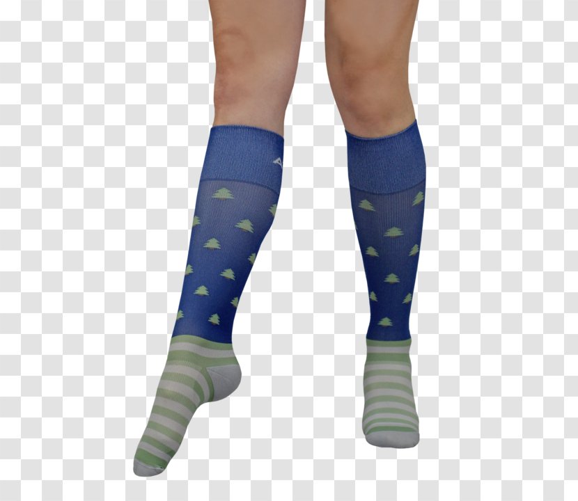 Toe Socks Knee Highs Clothing Stocking - Cartoon - Cypress Knees Transparent PNG