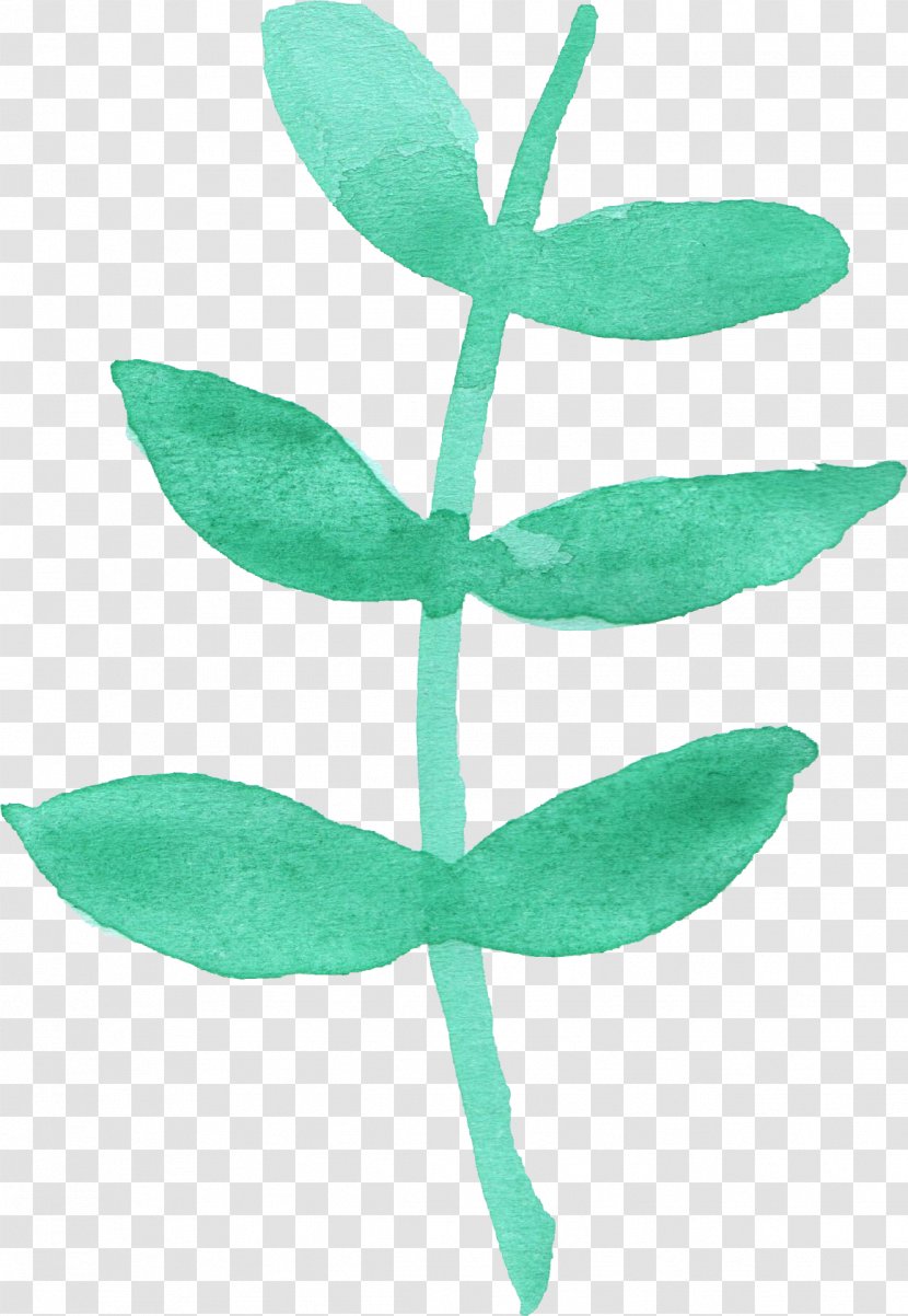 Leaf Watercolor Painting Plant Stem - Green - Leaves Transparent PNG