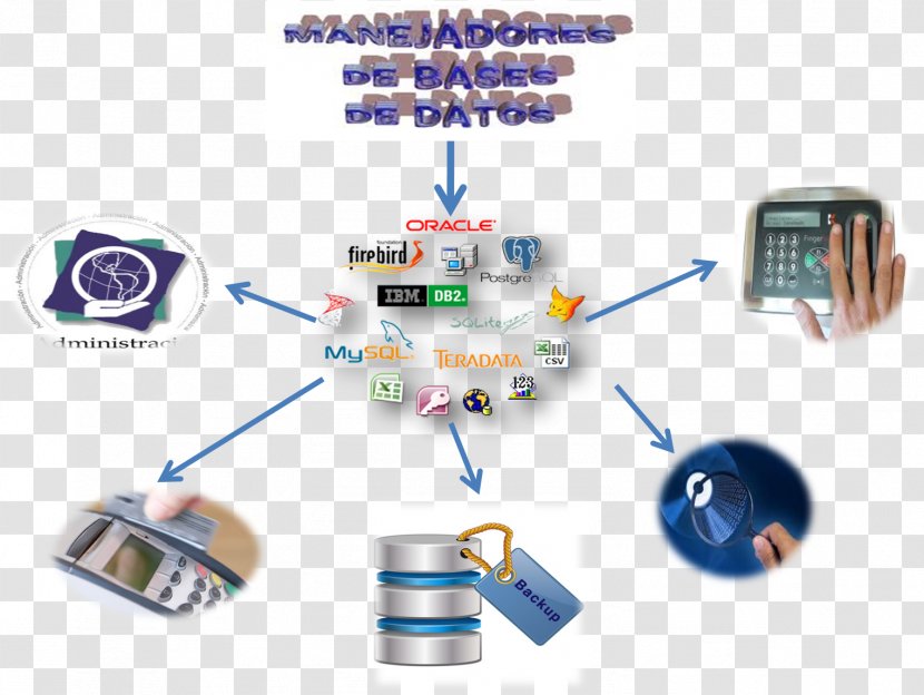 Database Administrator Engineering Passive Circuit Component - BASES DE DATOS Transparent PNG