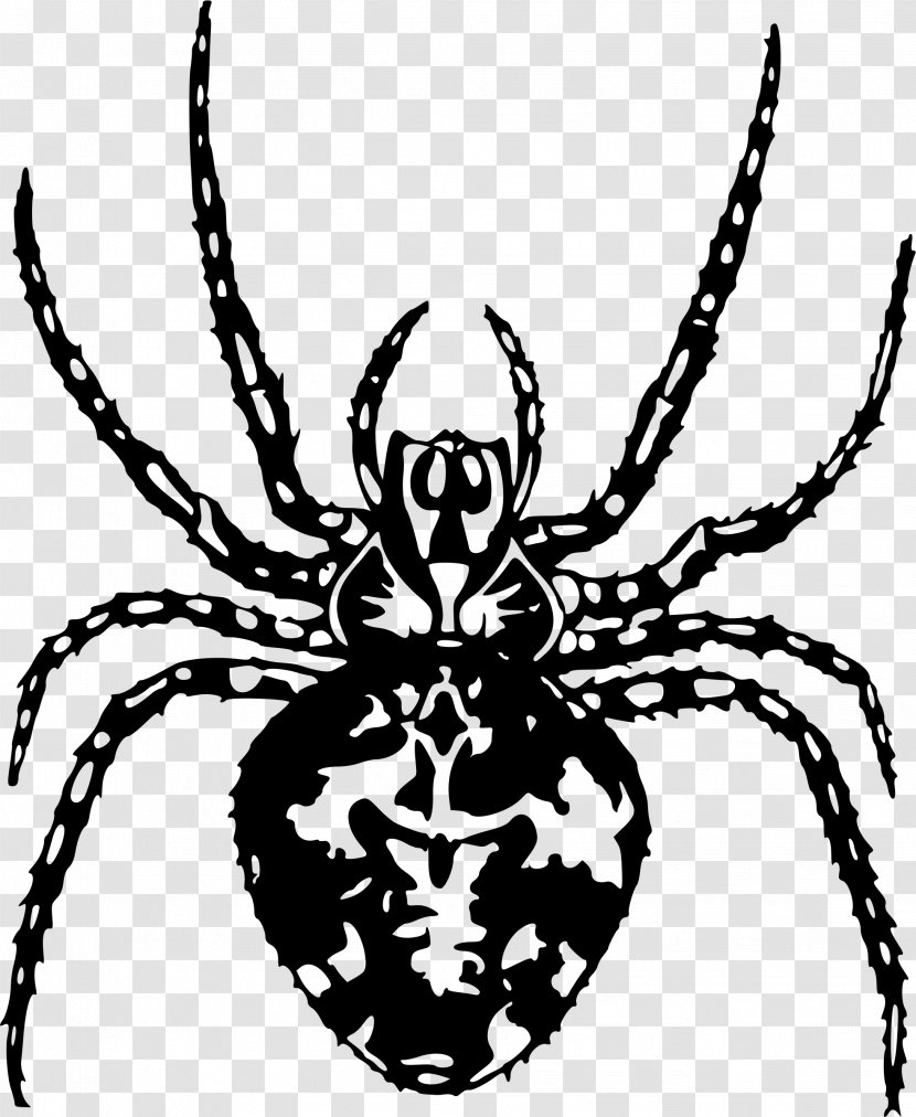 Spider Arthropod Clip Art - Web Badge - Insect Transparent PNG