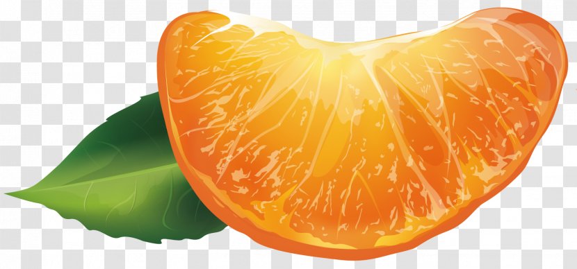 Clementine Blood Orange Rangpur - Valencia - Material Picture Transparent PNG