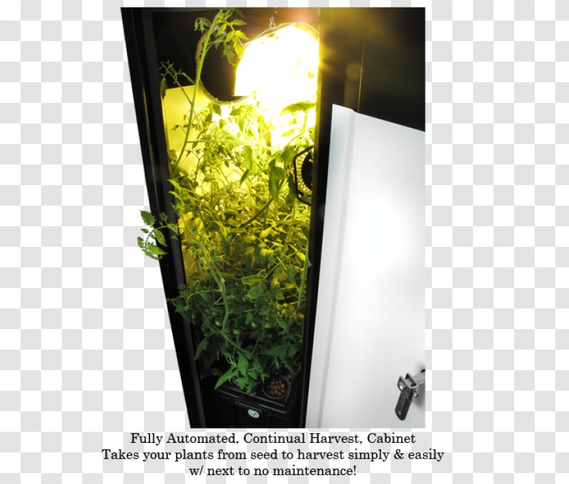 Grow Box Soil Garden Herb Flowerpot - Locker - Stealth Transparent PNG