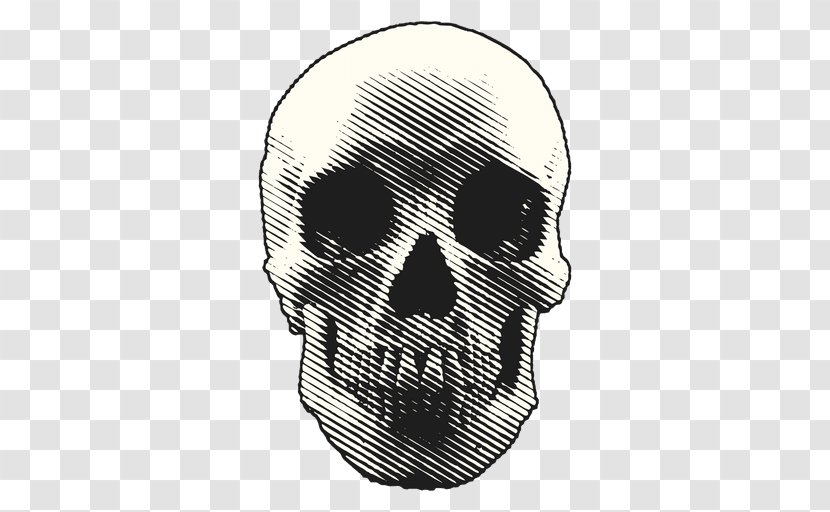 Skull Halloween - Head Transparent PNG