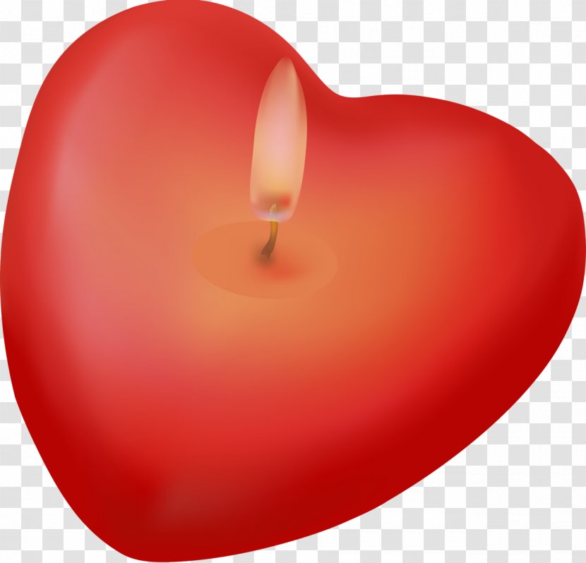 Cartoon Heart - Wax Plant Transparent PNG