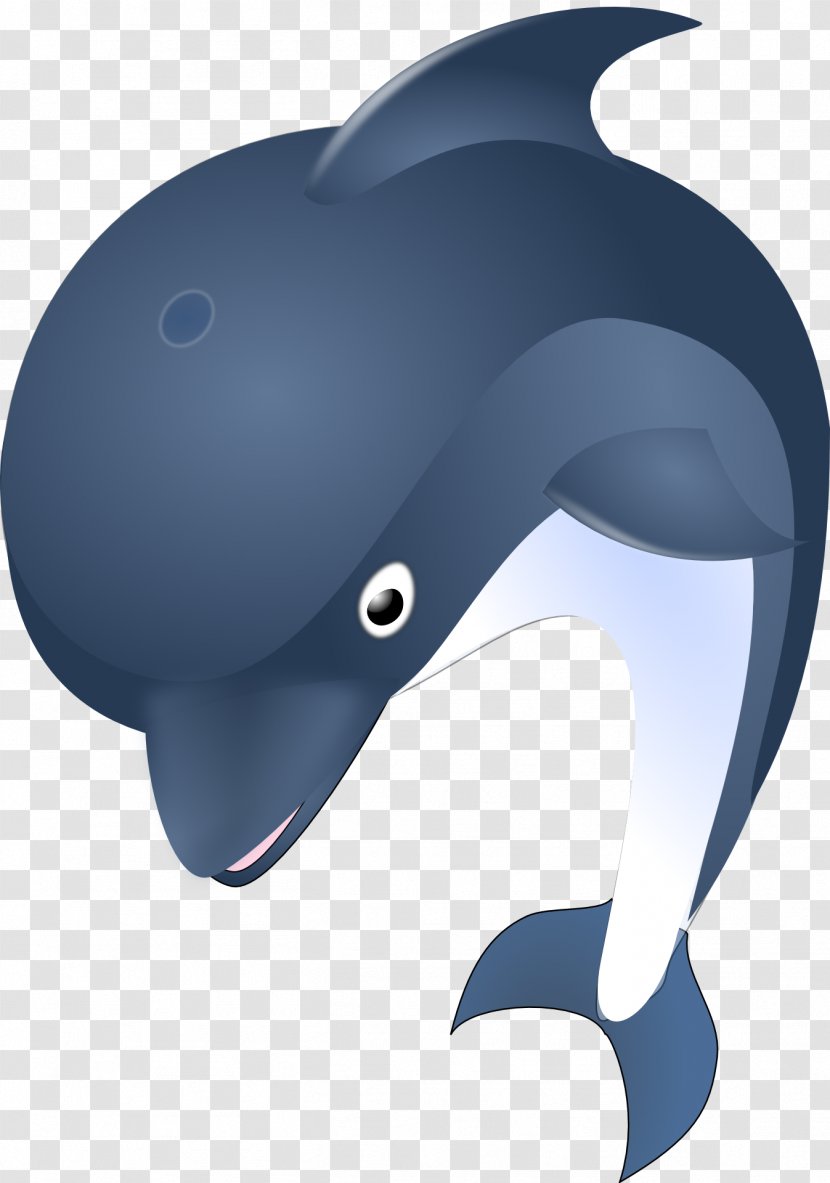 Common Bottlenose Dolphin Clip Art - Drawing - Illustrations Transparent PNG