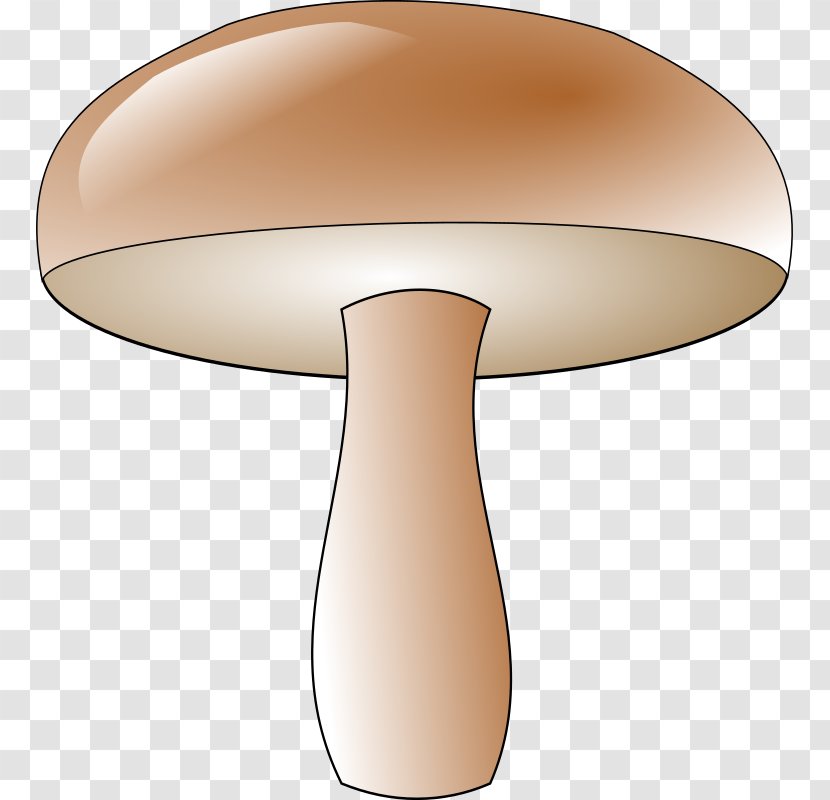 Common Mushroom Download Clip Art - Anonym Transparent PNG