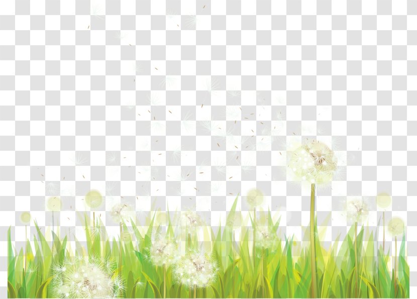 Dandelion Clip Art - Grass - Spring Transparent PNG