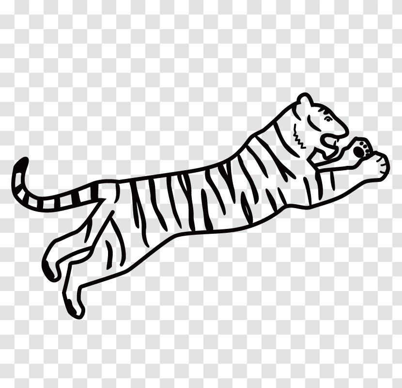 Bengal Tiger Drawing Coloring Book Clip Art - Big Cats - Prey Transparent PNG