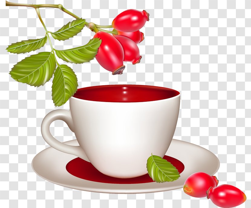 Green Tea Coffee Cafe Rose Hip - Herb Transparent PNG