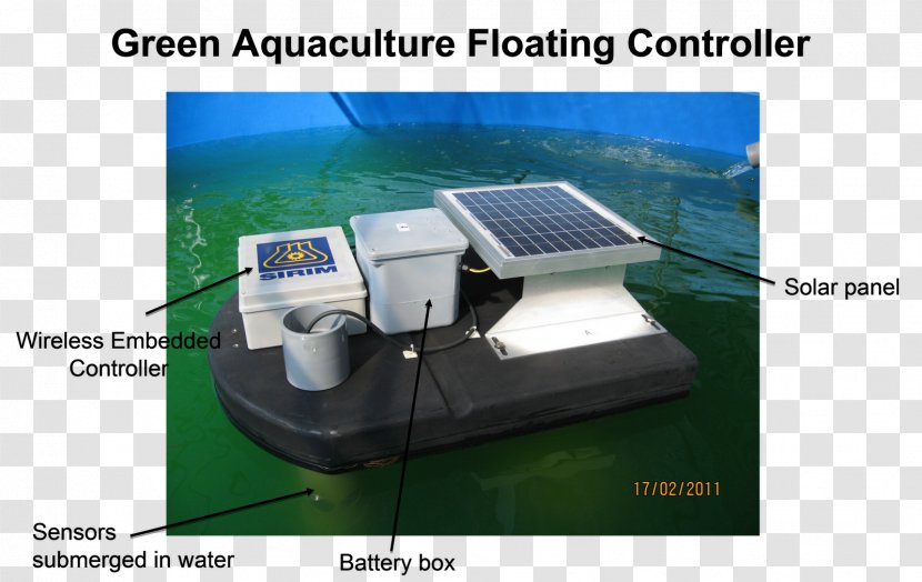 Giant Freshwater Prawn Farming Technology Aquaculture - Qurbani Transparent PNG