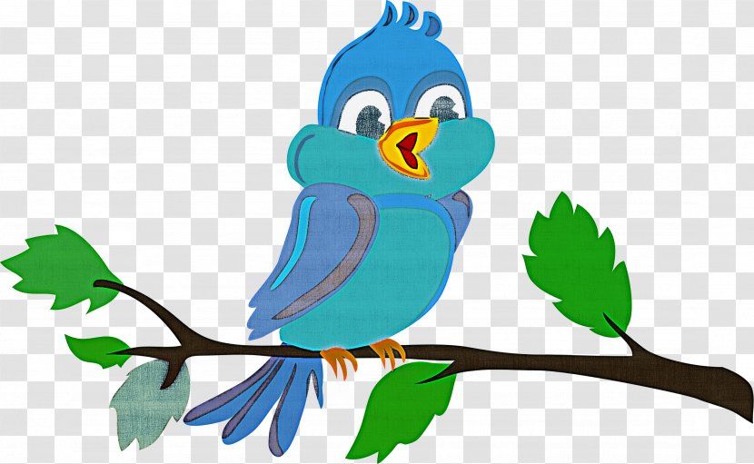Bird Parrot Cartoon Bluebird Branch - Beak - Budgie Leaf Transparent PNG