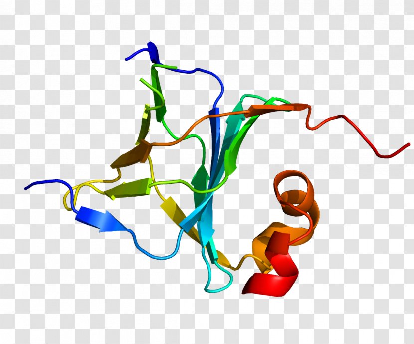 Transcription Science BTF3 Protein Biology - Frame - Striated Transparent PNG