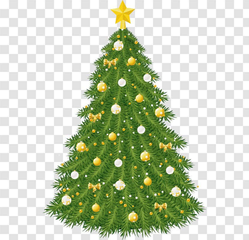 Clip Art Christmas Tree Day Ornament - Conifer Transparent PNG
