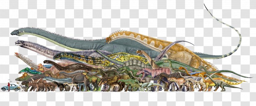 Tyrannosaurus Reptile Dinosaur Stegosaurus Megalosaurus - Mythical Creature Transparent PNG