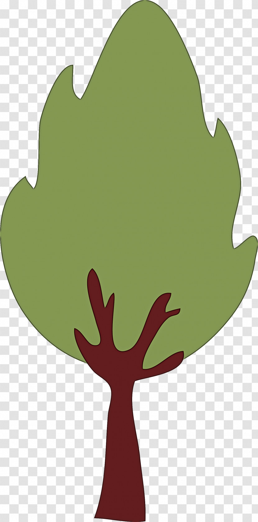 Leaf Green Tree Plant Woody Plant Transparent PNG