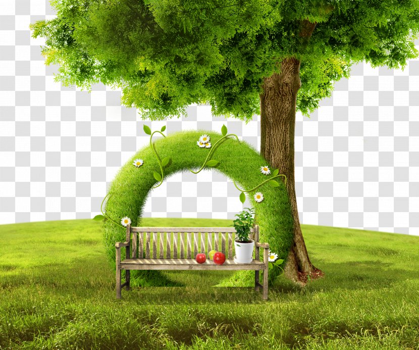 Tree Clip Art - Google Images - Trees Lawn Grass Transparent PNG