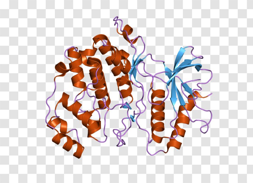 MAPK1 Mitogen-activated Protein Kinase - Silhouette - Cartoon Transparent PNG