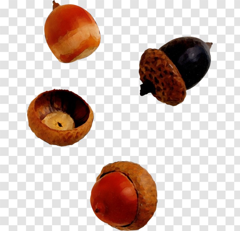 Acorn Chestnut Fruit Oak Leaf - Nuts Seeds - Food Hazelnut Transparent PNG