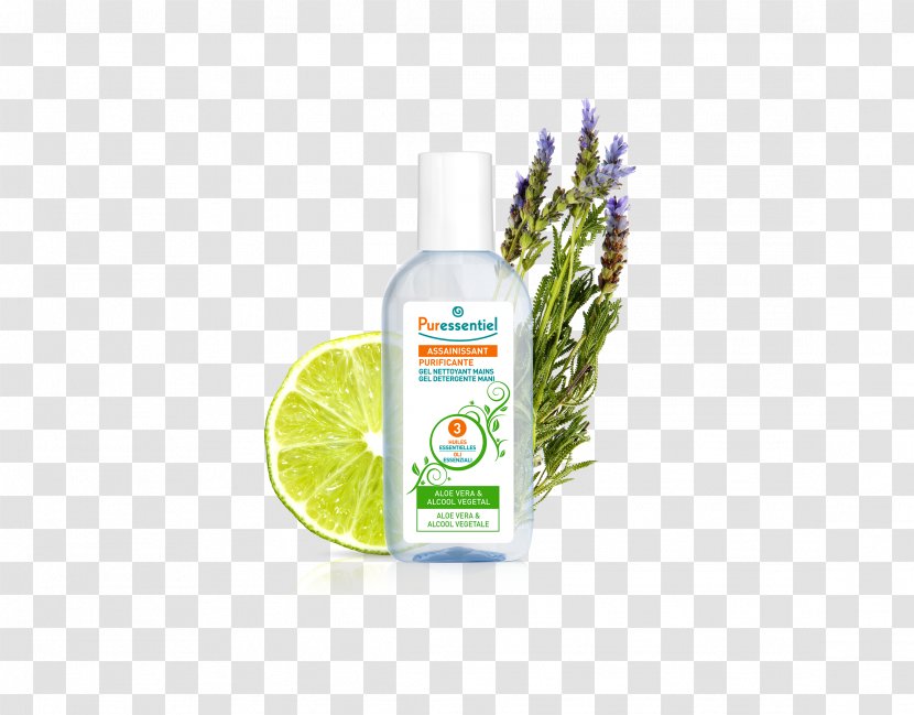 Hand Sanitizer Pharmaceutical Drug Pharmacy Bacteria Essential Oil - Antiviral - Tea Tree Transparent PNG