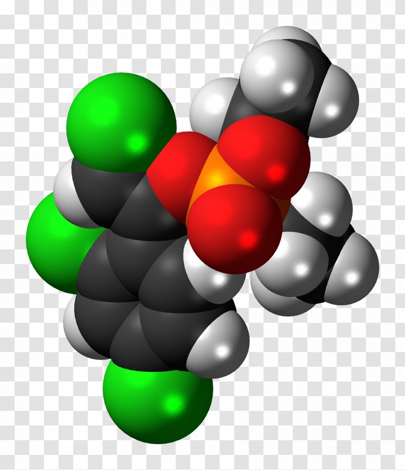 Space-filling Model Chemistry Organophosphorus Compound Chemical Nomenclature Molecule - Fruit - Plant Transparent PNG