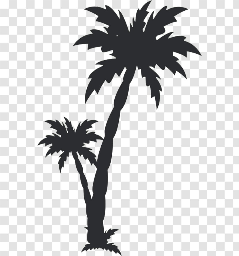 Arecaceae Clip Art - Woody Plant - Tree Transparent PNG