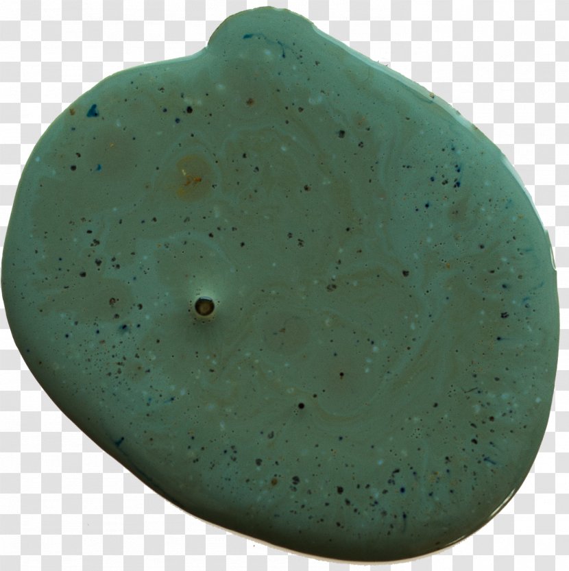 Turquoise Organism - Boxwood Transparent PNG