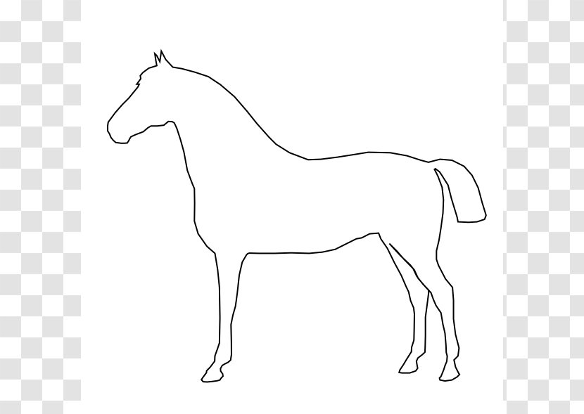 Tennessee Walking Horse Conformation Of The Drawing Clip Art - Pack Animal - Outline Transparent PNG
