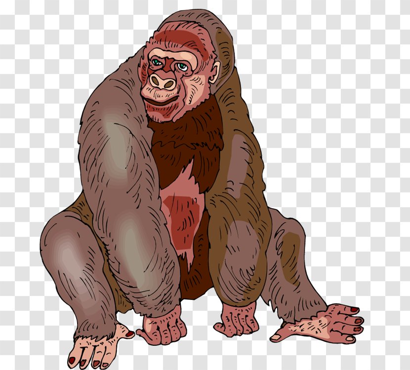 Western Gorilla Free Content Clip Art - Drawing - Photos Transparent PNG