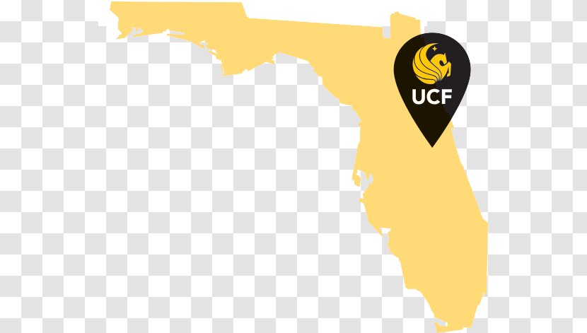 University Of Florida UCF College Community Innovation And Education Mathematical Sciences Building State - Orlando Transparent PNG