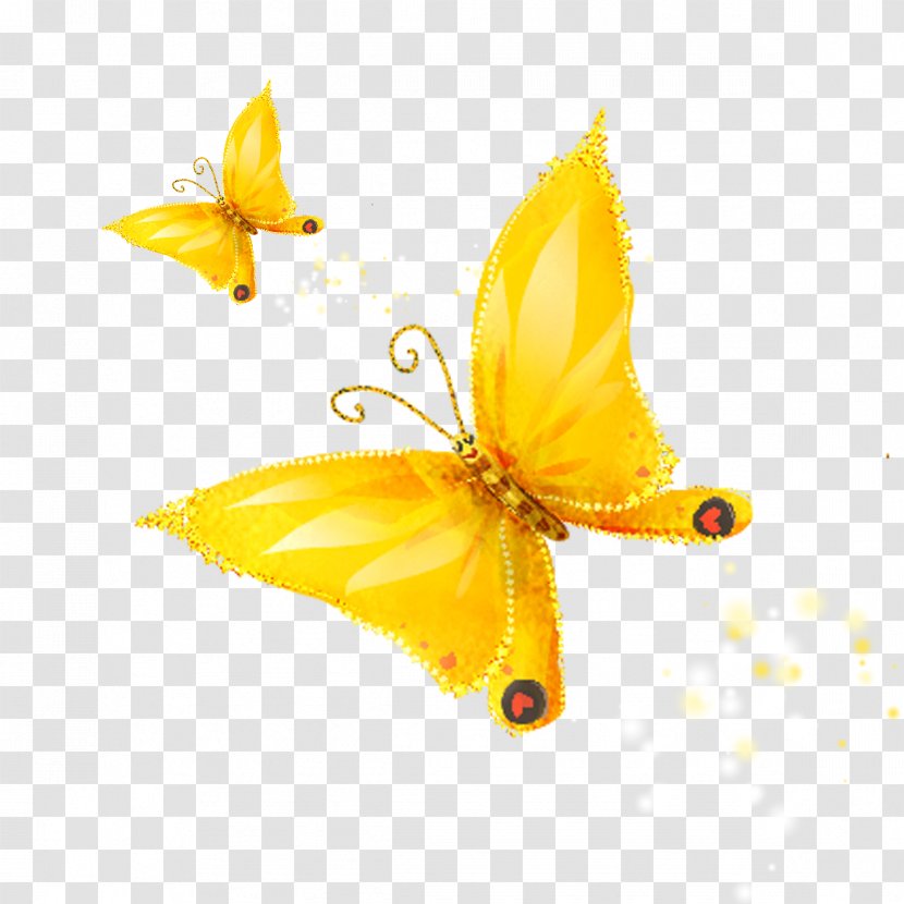 Butterfly Drawing Cartoon - Yellow Transparent PNG