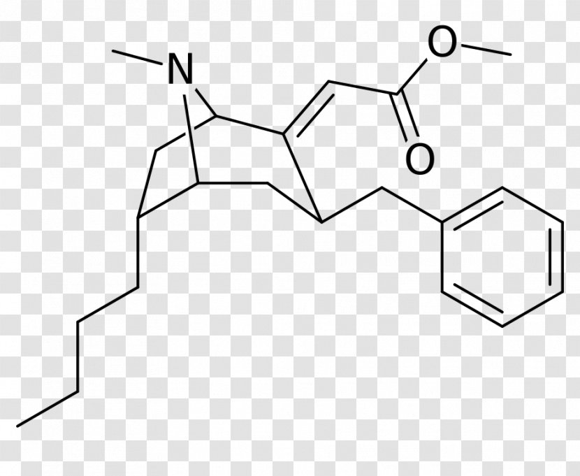 Structural Analog Cocaine Benzoyl Group Peroxide Chemistry - Tree - Frame Transparent PNG