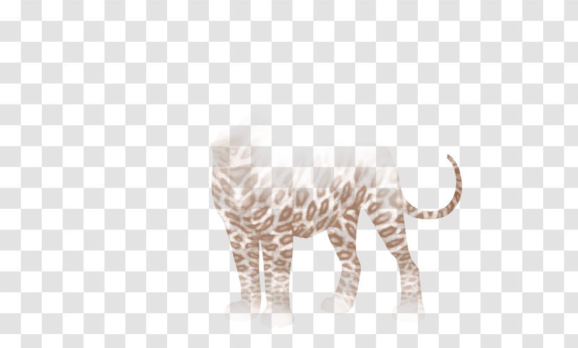 Big Cat Terrestrial Animal Fur Mammal - Organism Transparent PNG