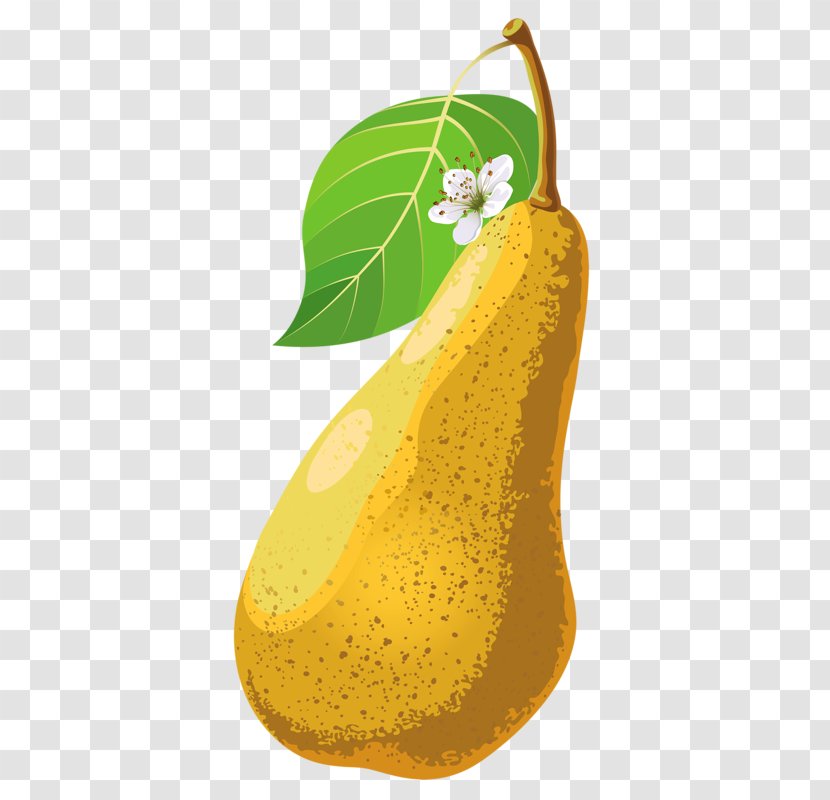 Pyrus Xd7 Bretschneideri Pear Fruit Food - Auglis - Yellow Pears Transparent PNG