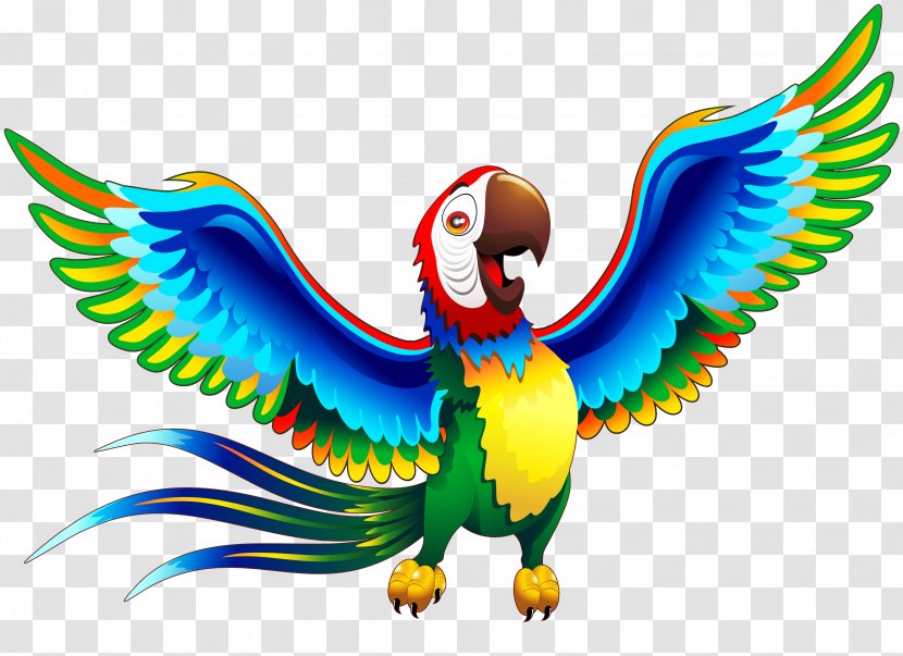 Clip Art - Cartoon - Parrot Transparent PNG