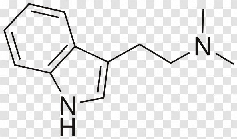 N,N-Dimethyltryptamine Molecule 5-MeO-DMT Psilocin - Frame - Silhouette Transparent PNG