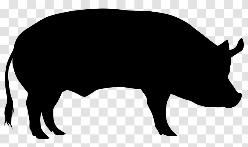 Domestic Pig Cattle Sheep Silhouette - Snout Transparent PNG
